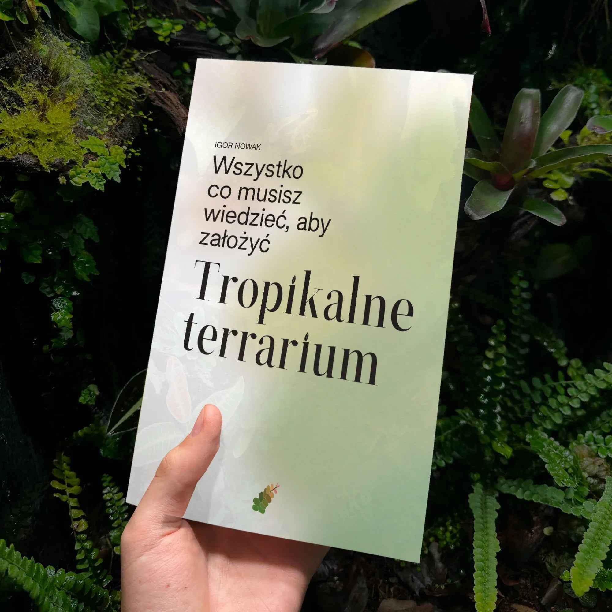 E-book: "Jak stworzyć własne Tropikalne terrarium."