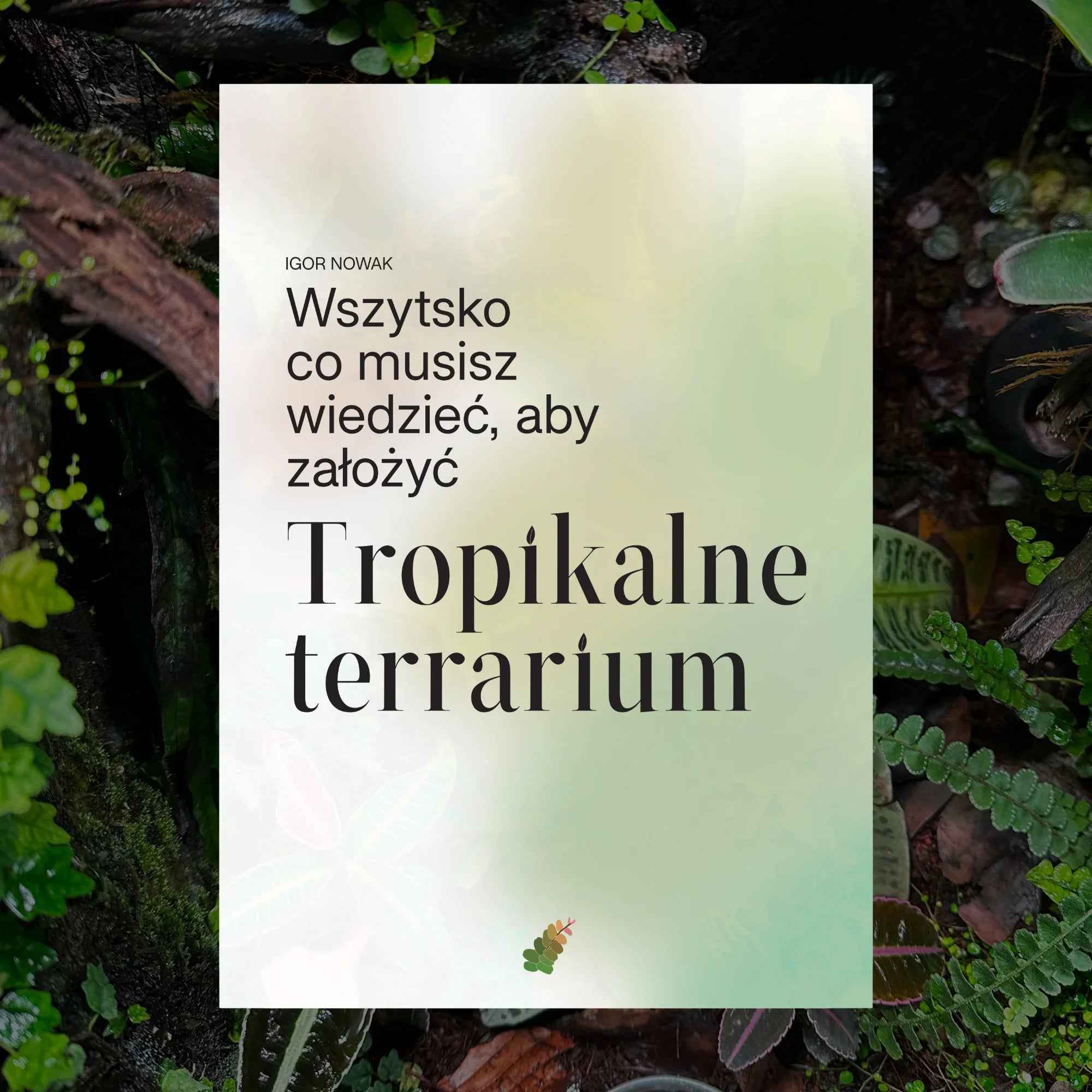 E-book: "Jak stworzyć własne Tropikalne terrarium."