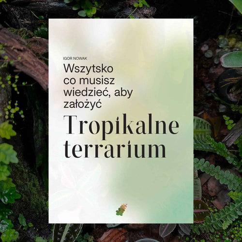 E-book: "Jak stworzyć własne Tropikalne terrarium."