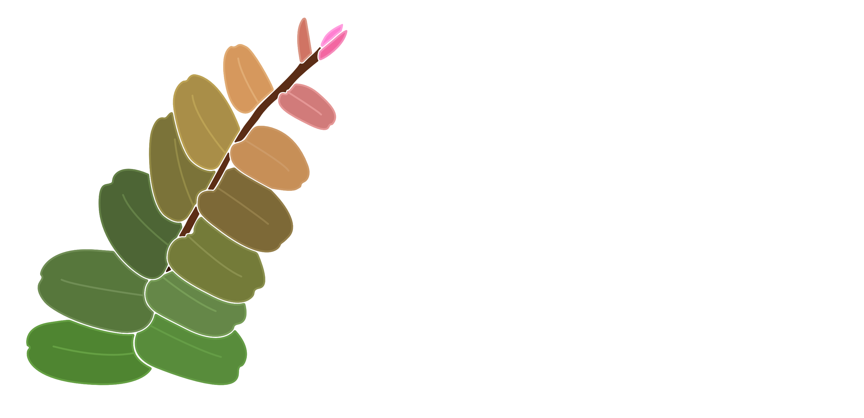 Marc Plants