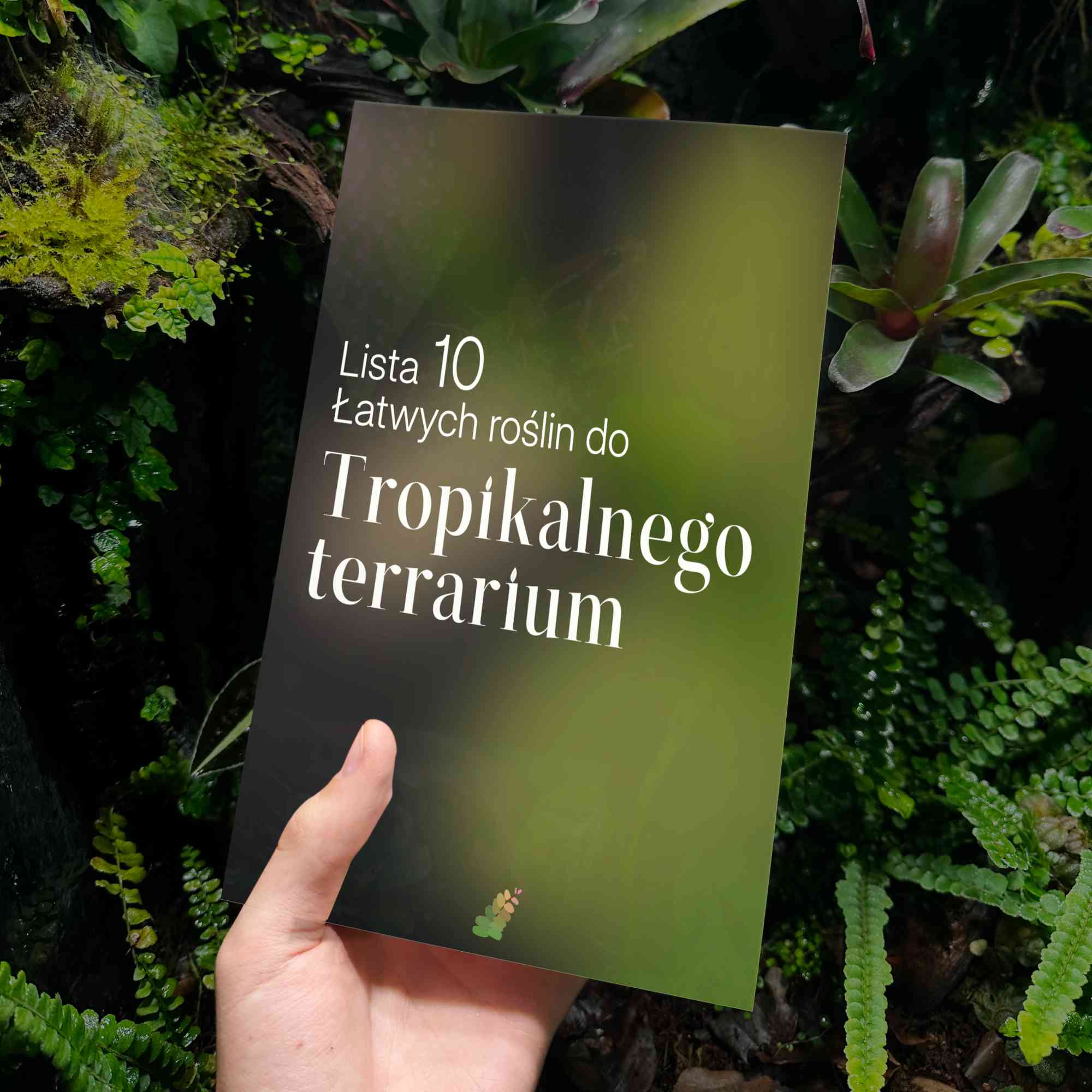 E-book: "Lista 10 łatwych roślin do tropikalnego terrarium."